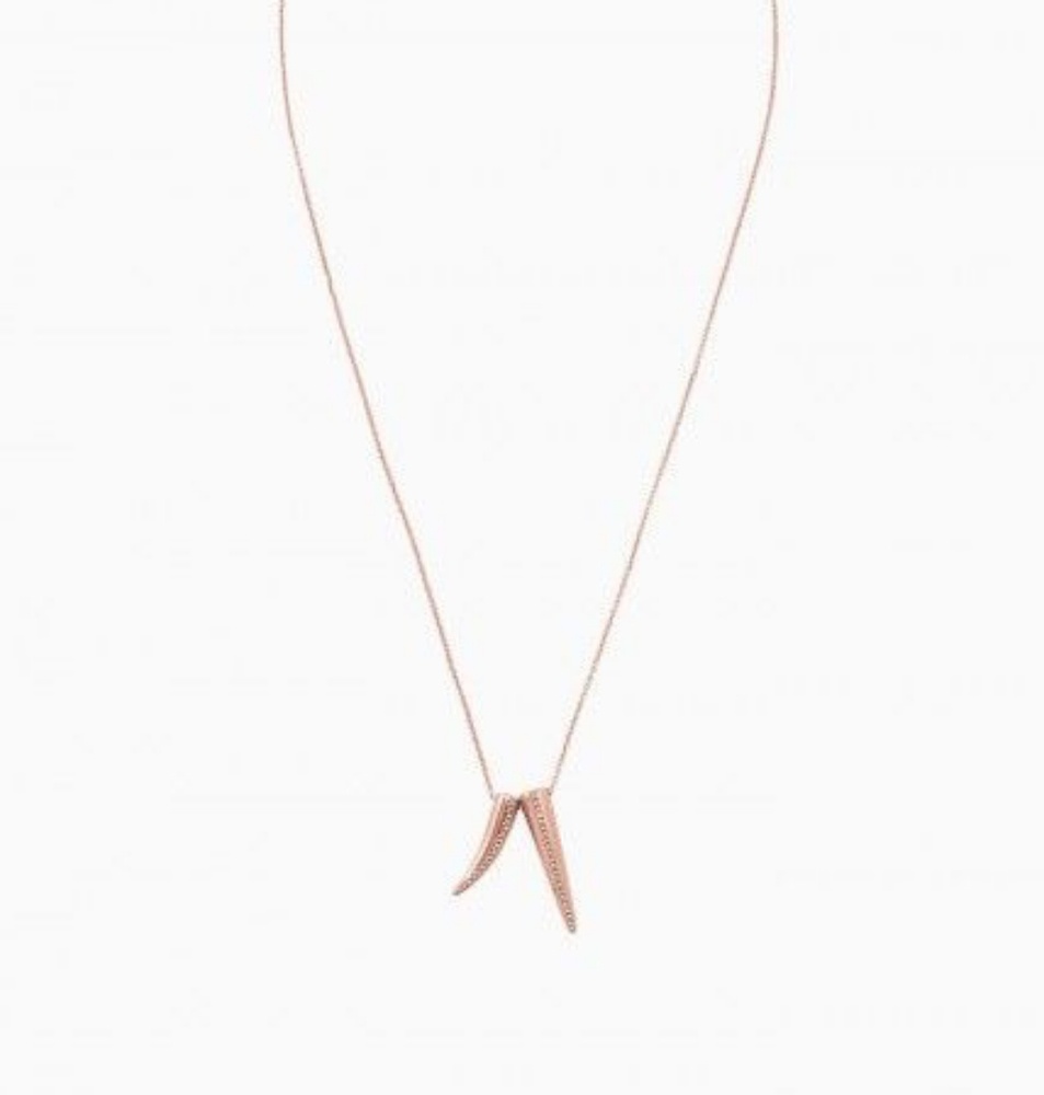 Double horn Stella & Dot necklace